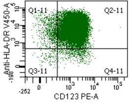 Marker analysis demonstrates coexpression of HLA-DR and CD123 within the blast population.